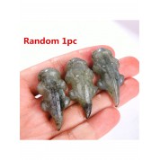 Natural Quartz Crystal Salamander Decor