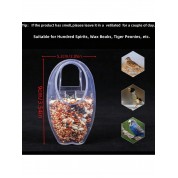 Leak-proof Small Bird Feeder For Outdoors