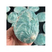 Versatile Natural Abalone Shell Decor