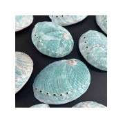 Versatile Natural Abalone Shell Decor