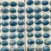 Versatile Natural Abalone Shell Decor