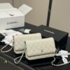 Chanel Classic Wealth Bag WoC